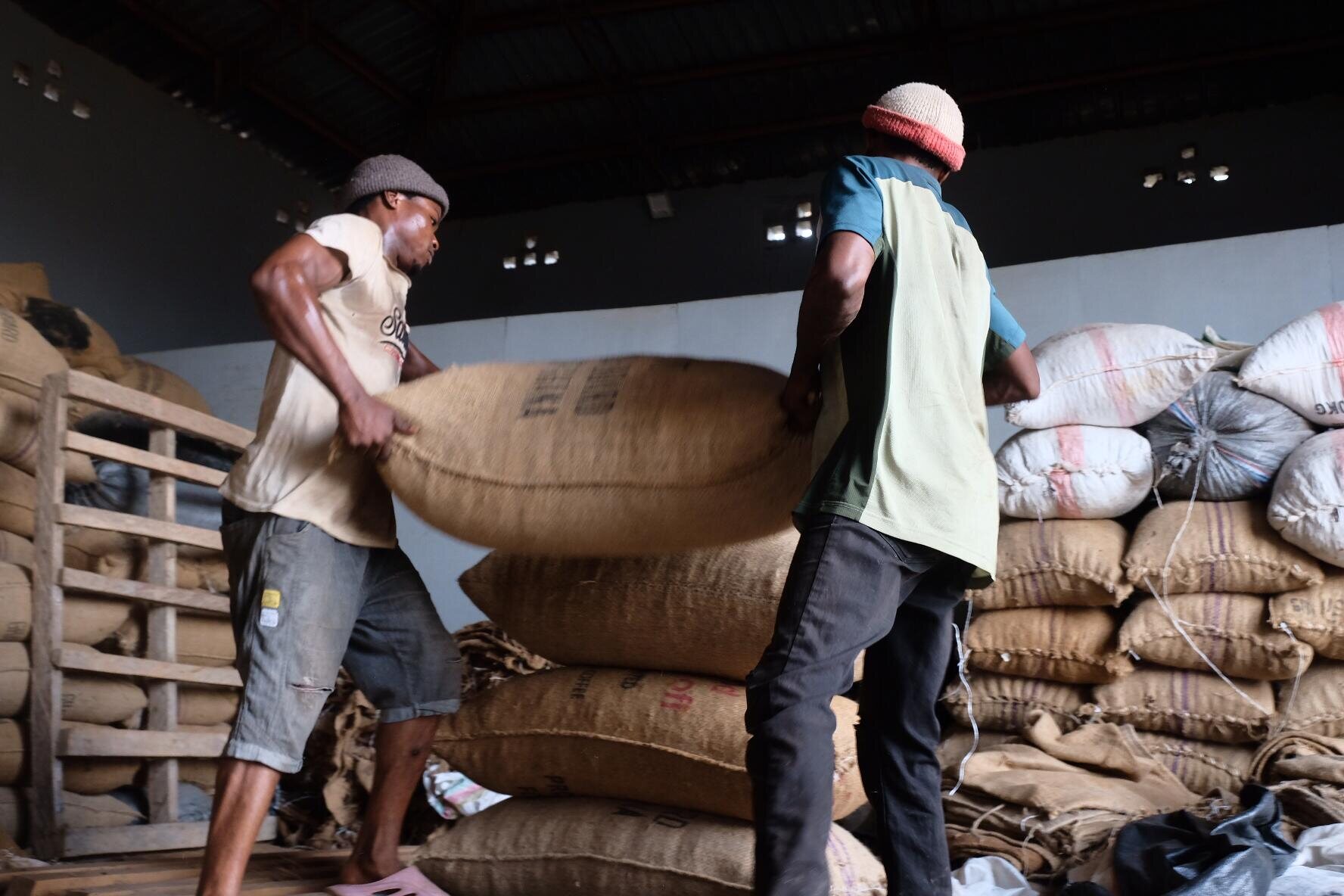 Agricultural sourcing and commodity supply