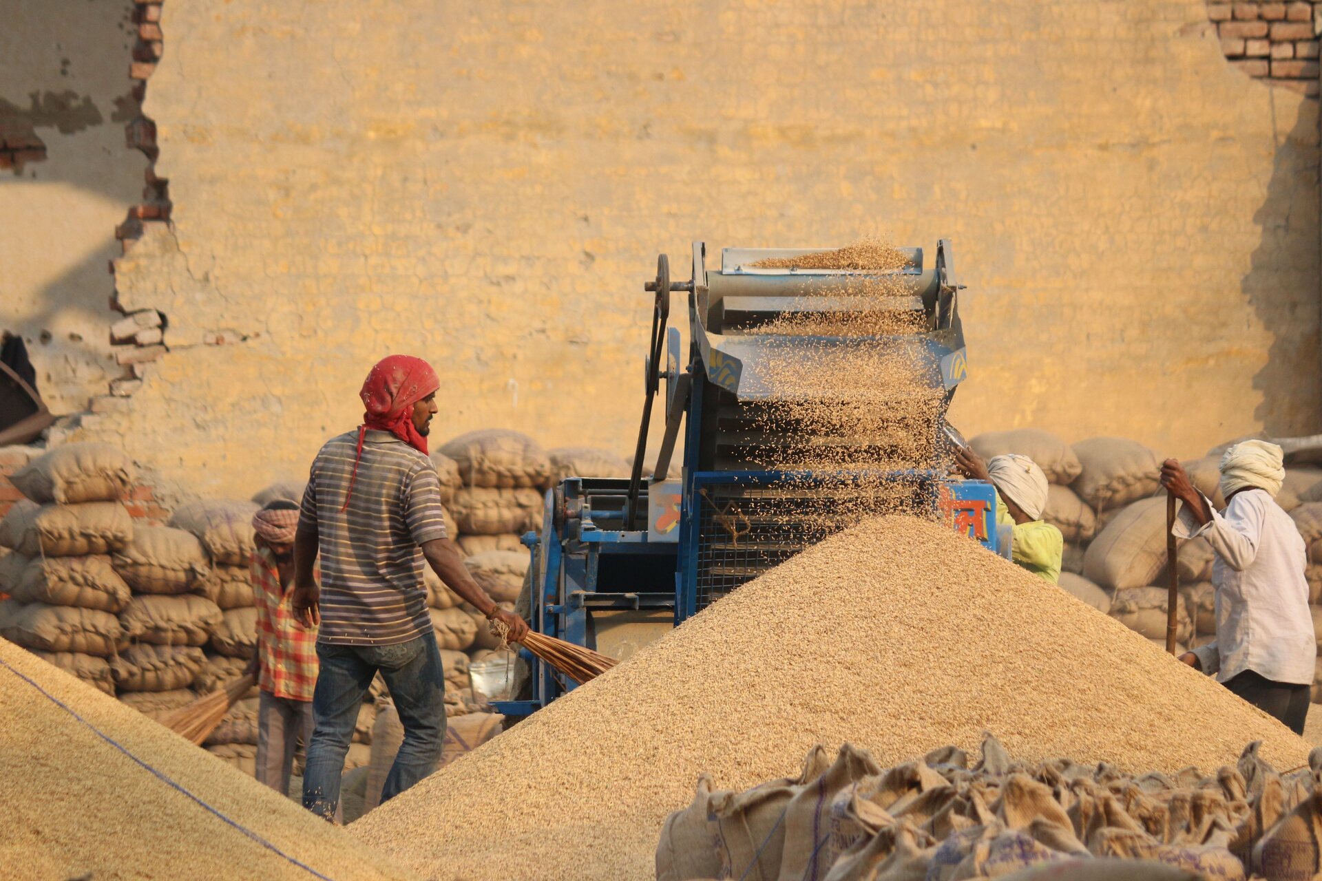 Processed agricultural products